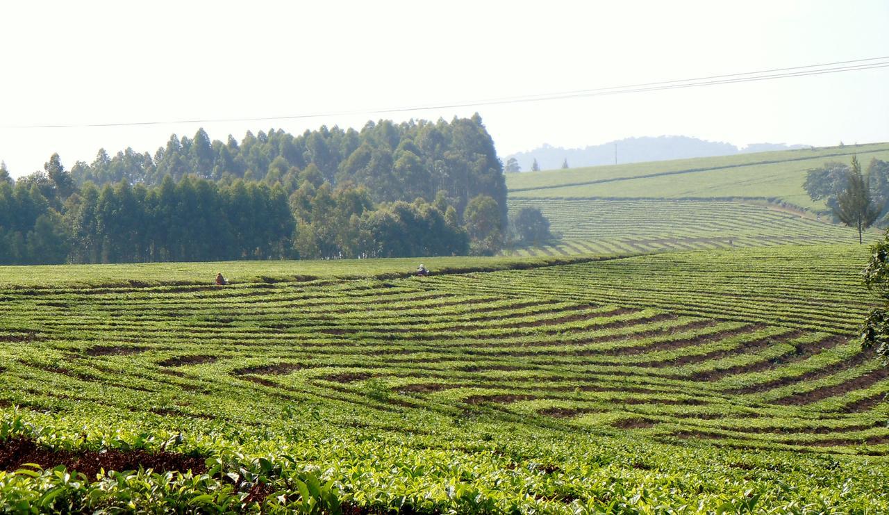 Dutchess Hotel And Restaurant Fort Portal Zewnętrze zdjęcie